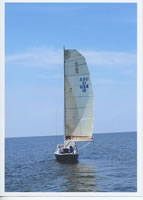 bimini
